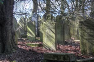 haworth spring first day march 20 2016 4 sm.jpg